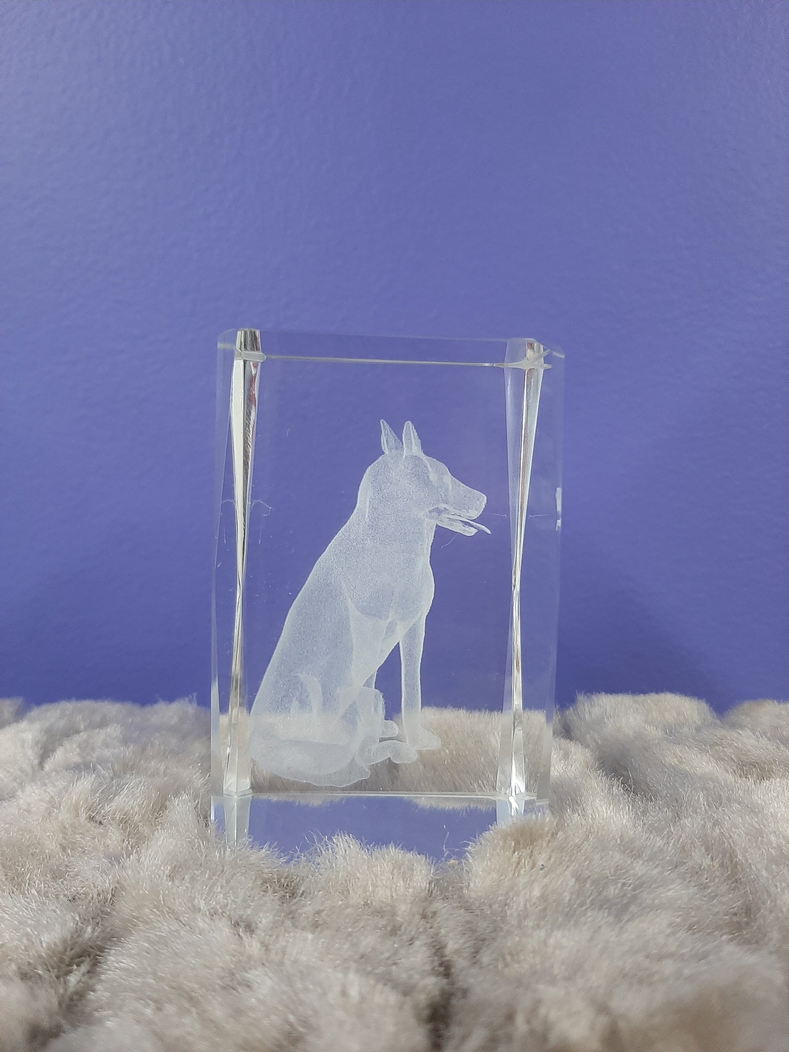 Glass Cube Dog