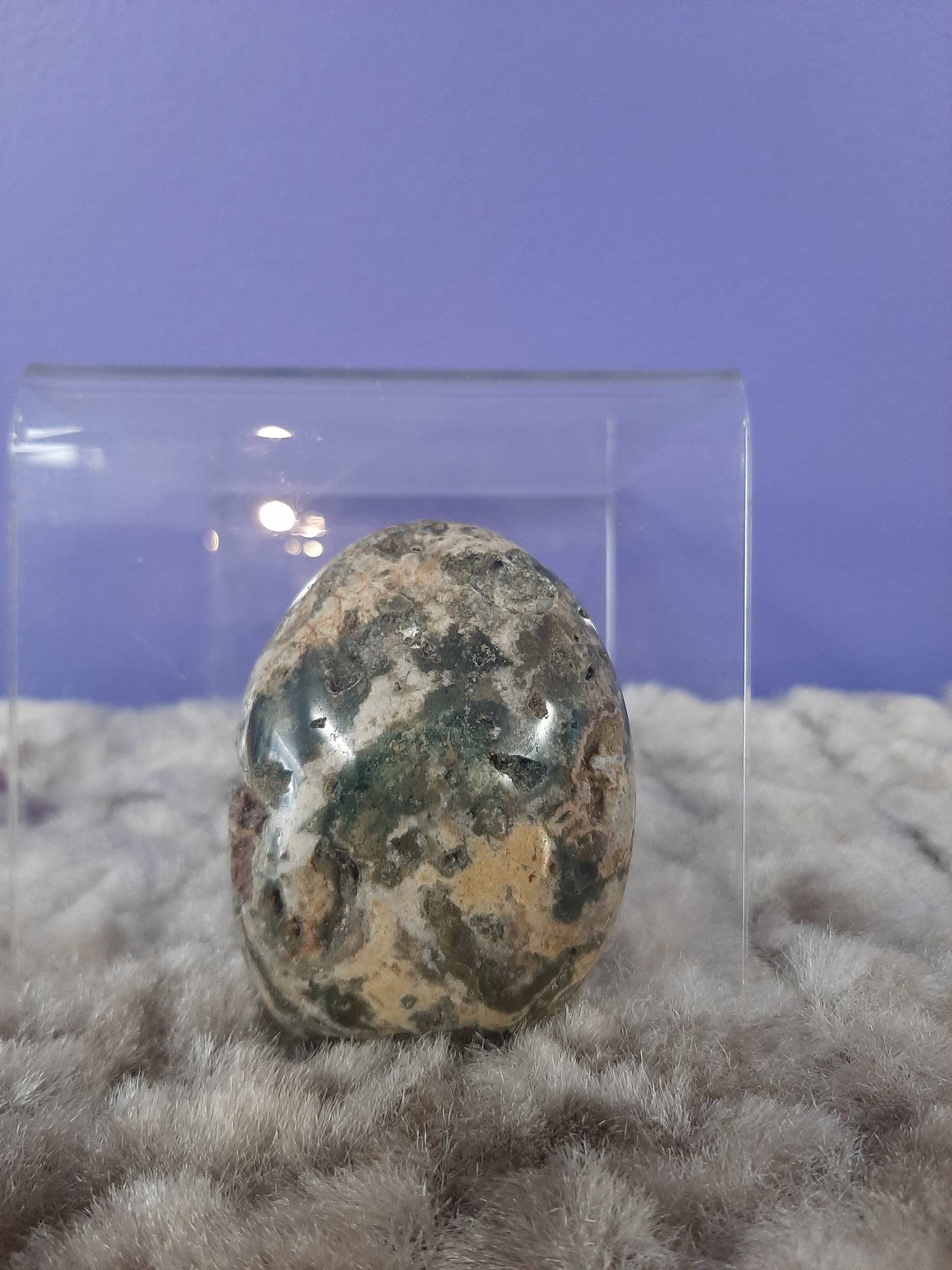 Ocean Jasper Palm