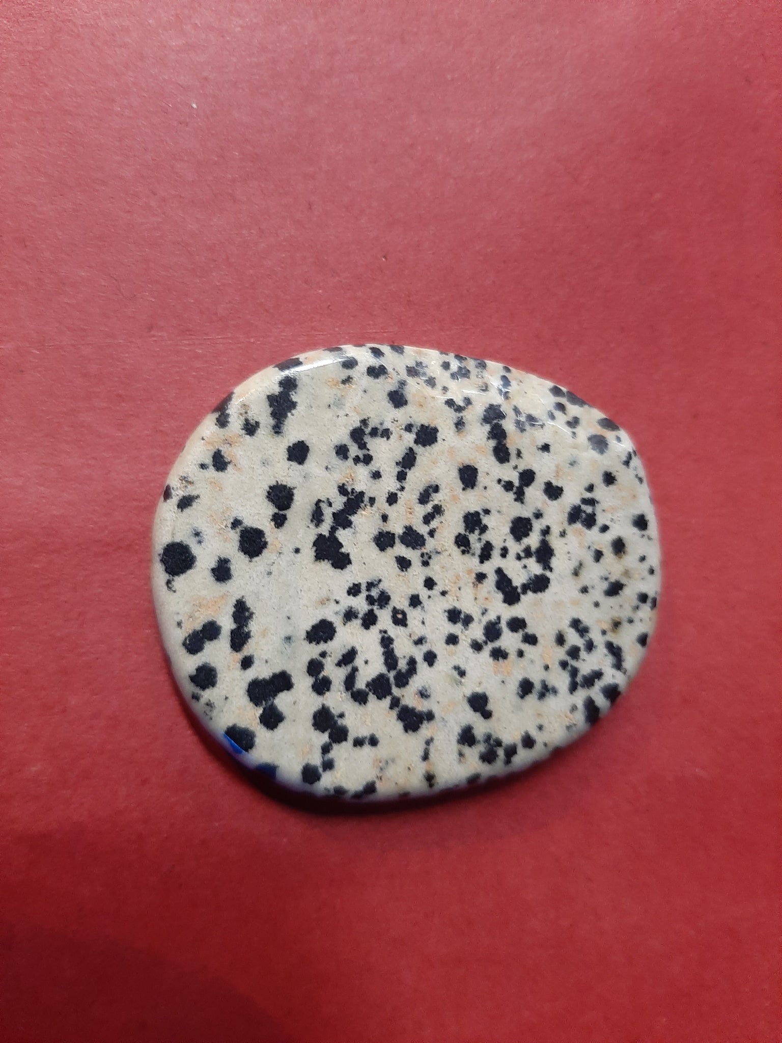 Dalmation Jasper Worry Stone