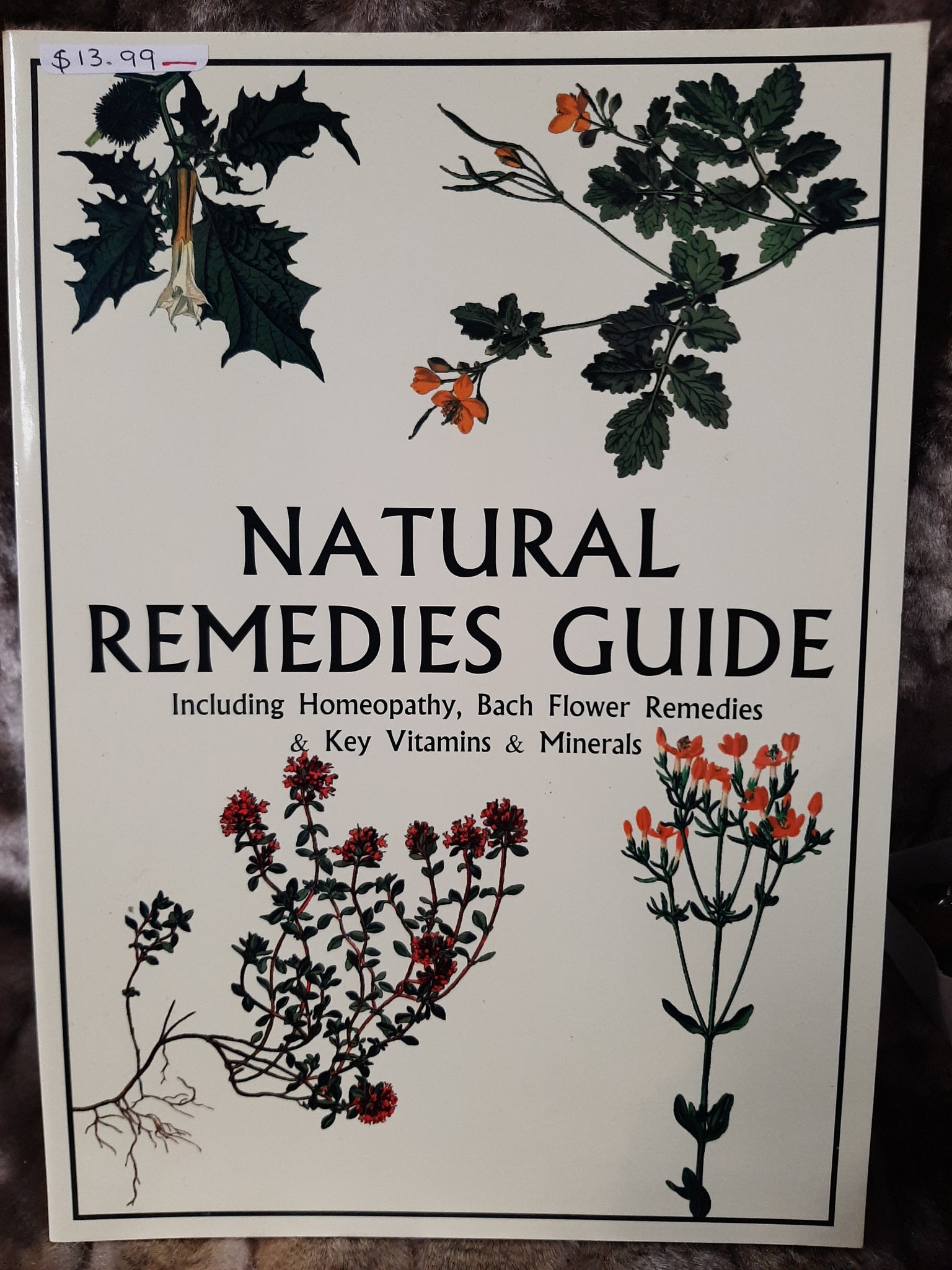 Natural Remedies Guide Chart