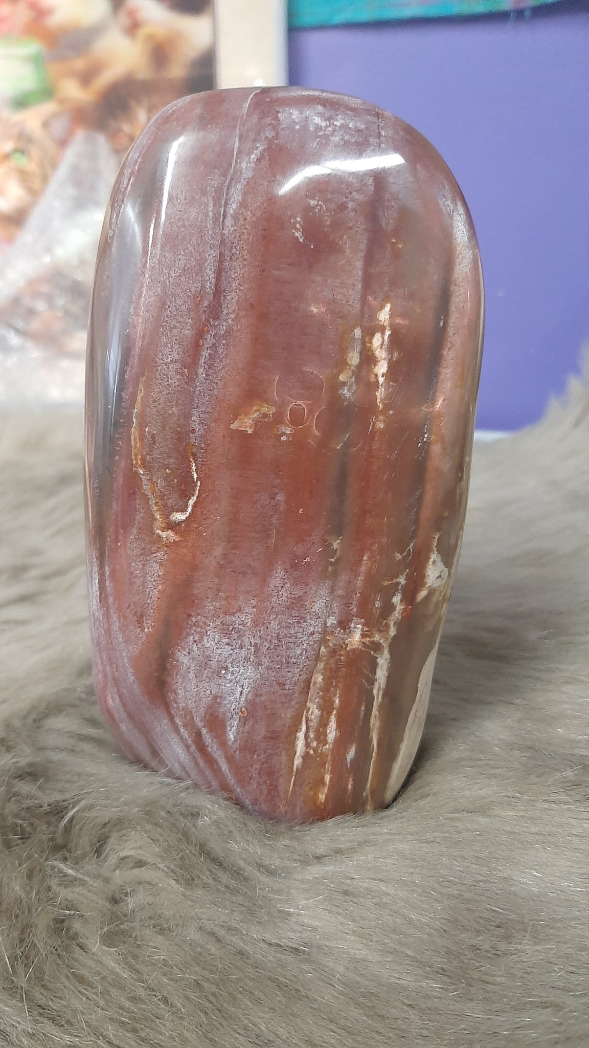 Petrified Wood Standing