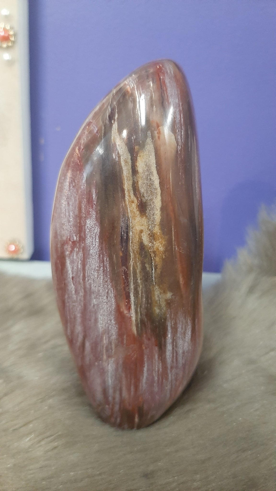 Petrified Wood Standing