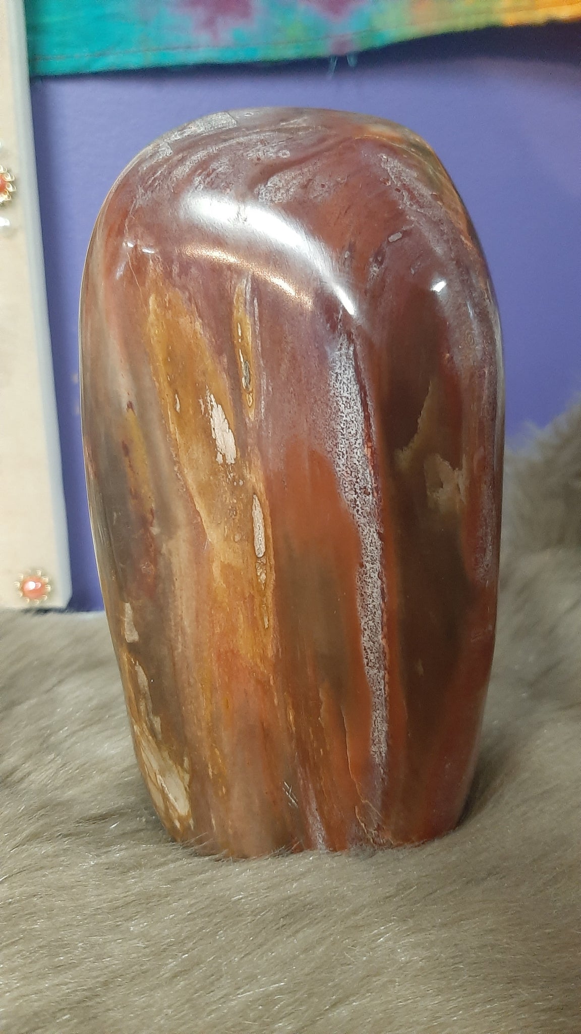 Petrified Wood Standing