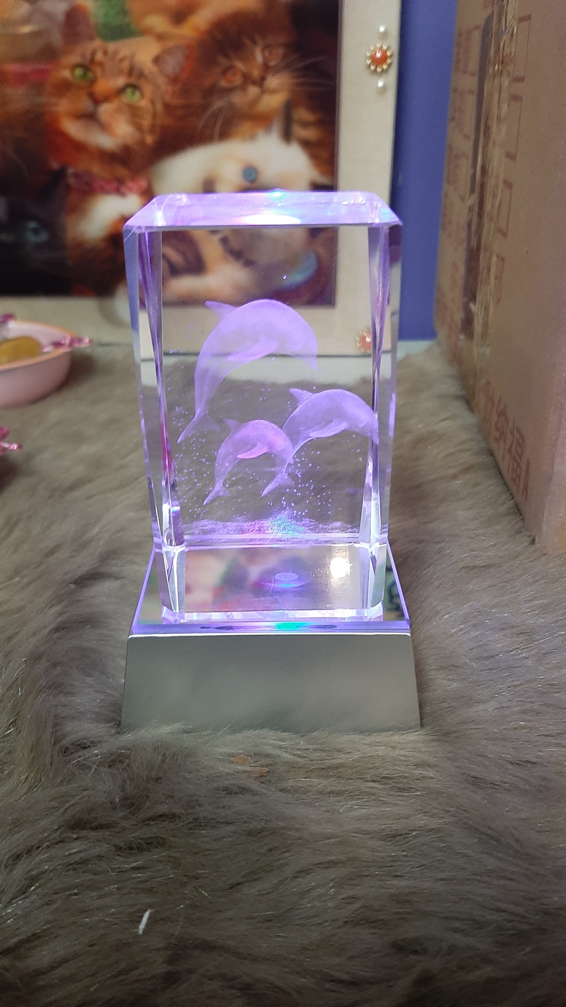 3 Dolphins Glass Cube