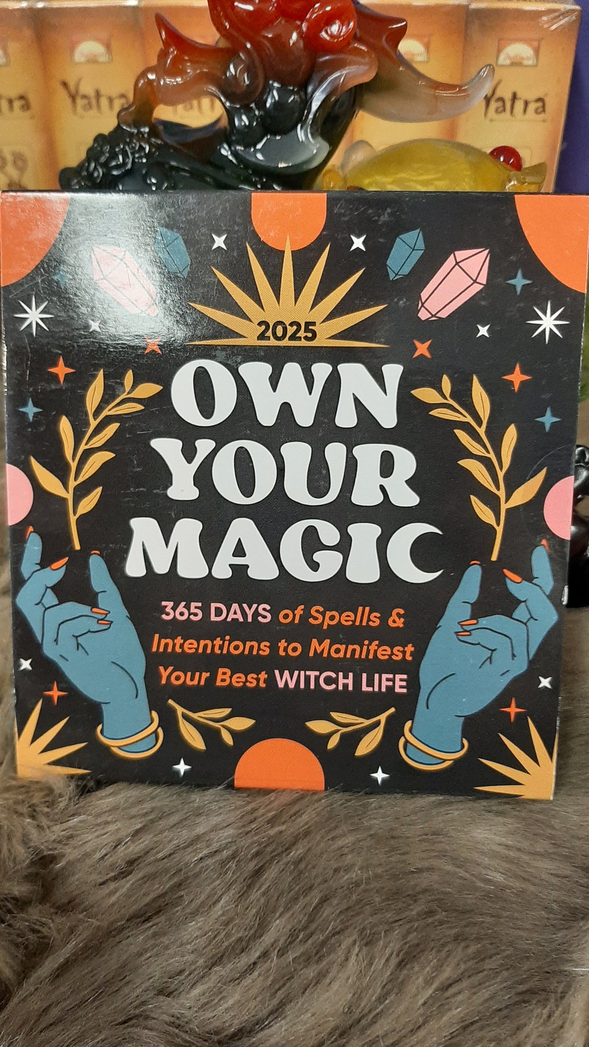 2025 Own Your Magic