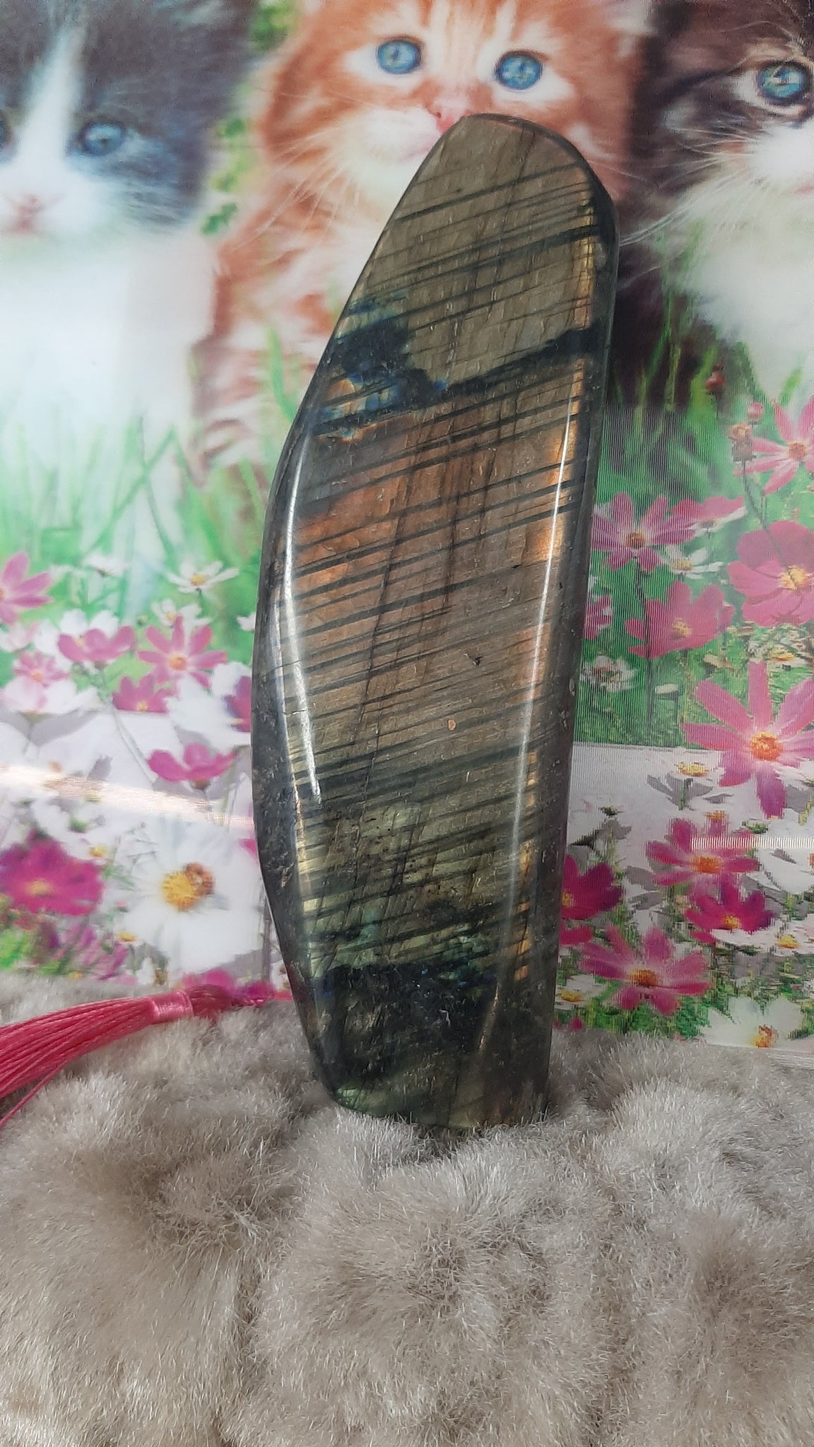 Labradorite Free Standing