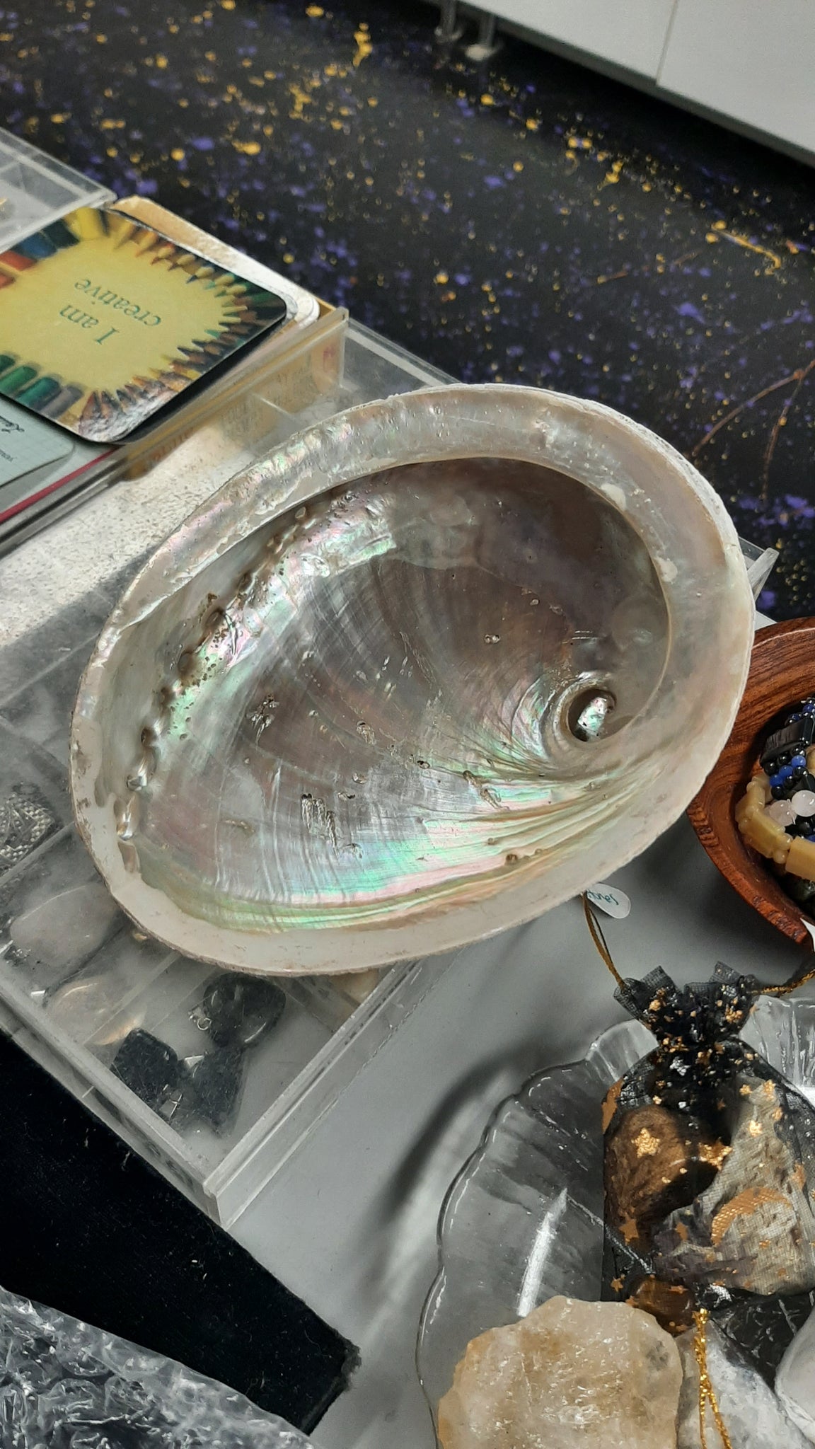 Abalone Shell