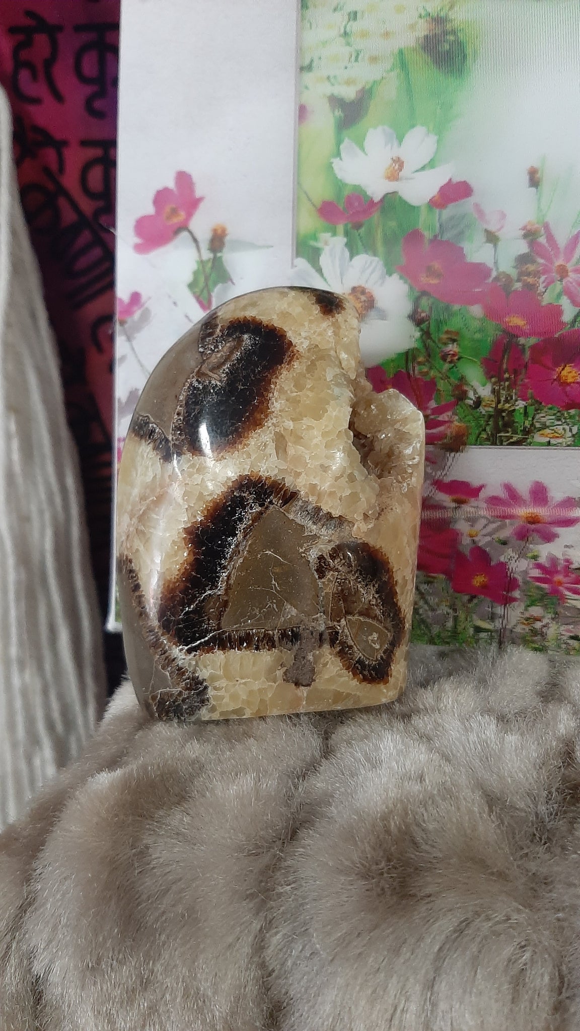 Septarian Free Form