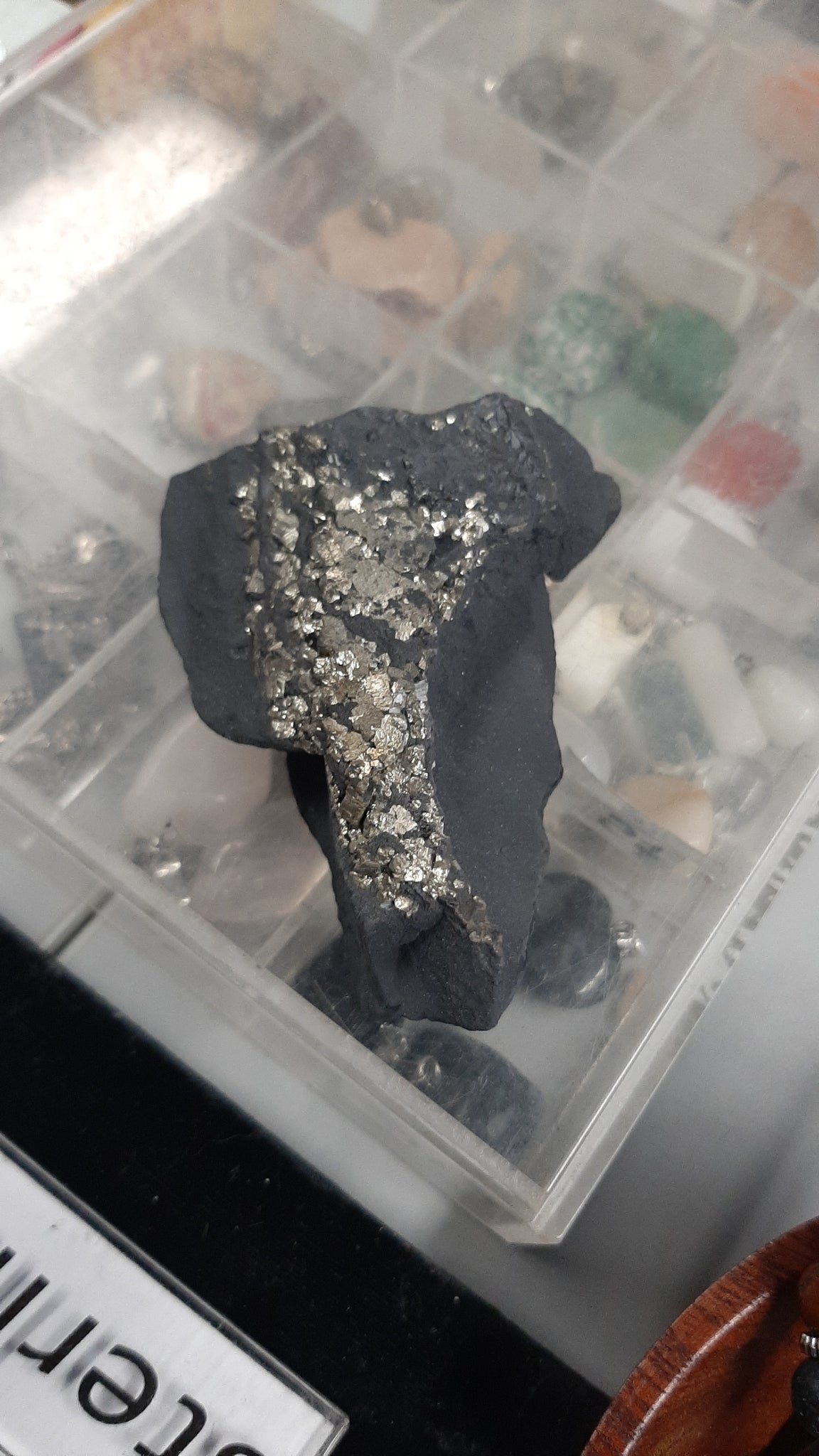 Shungite with Pyrite