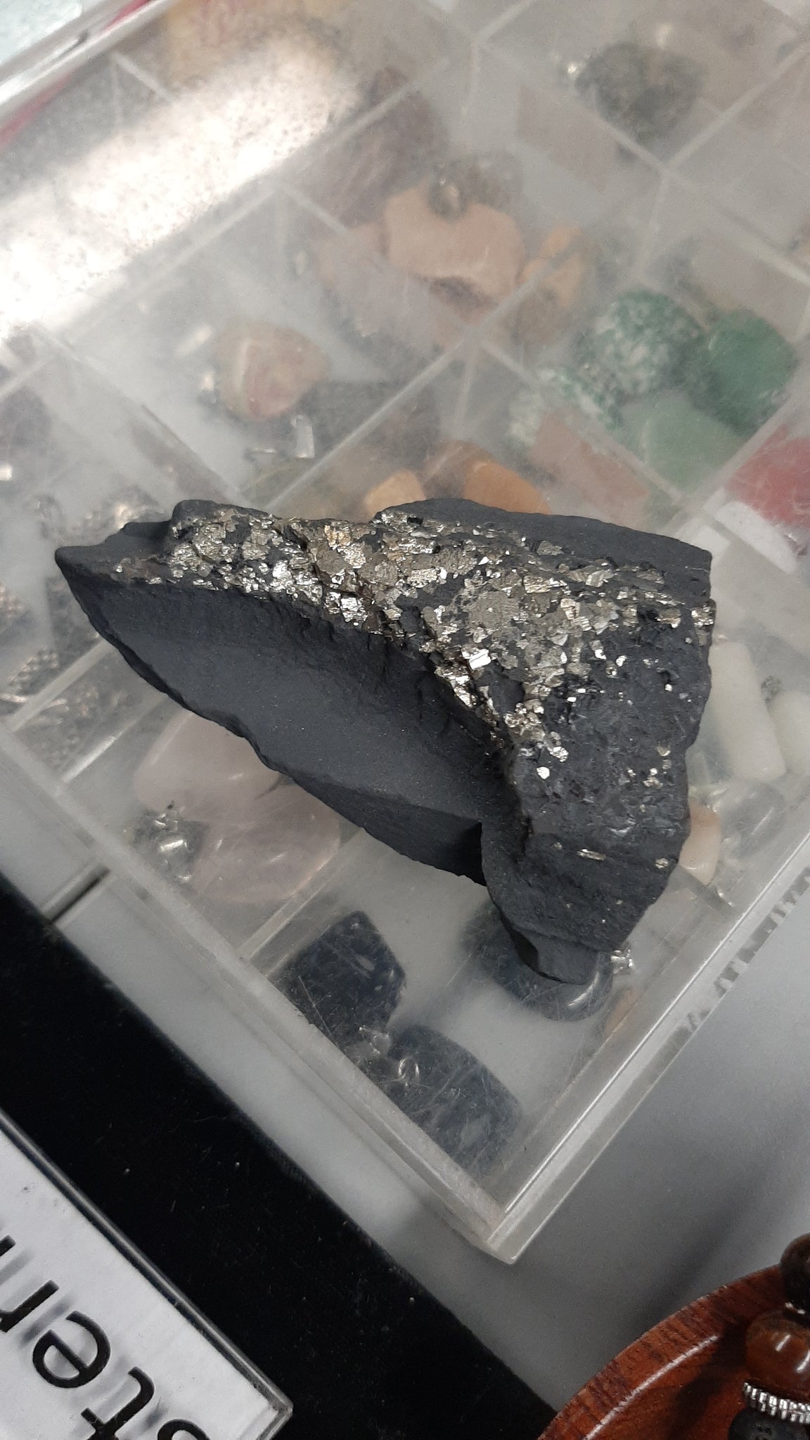 Shungite with Pyrite