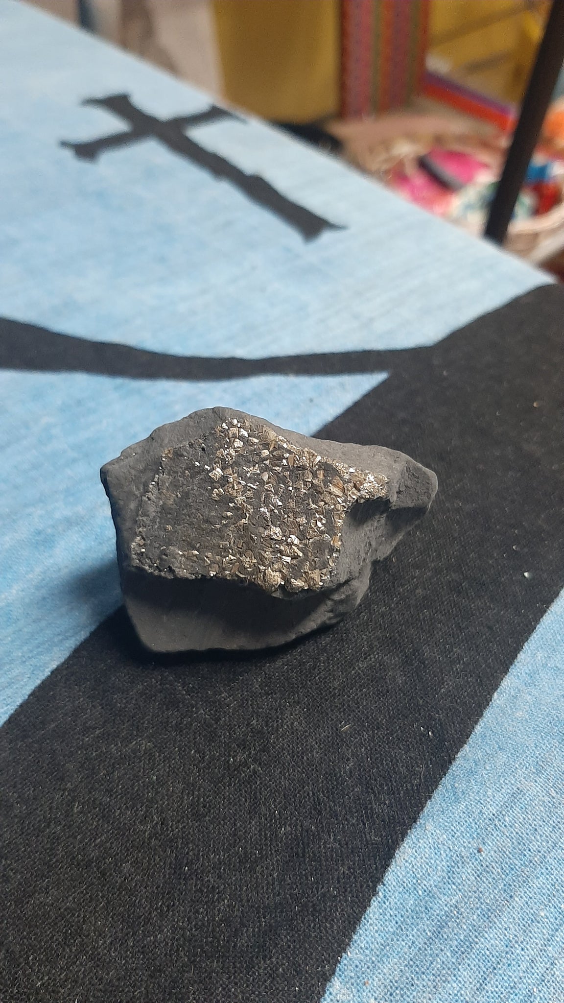 Shungite with Pyrite