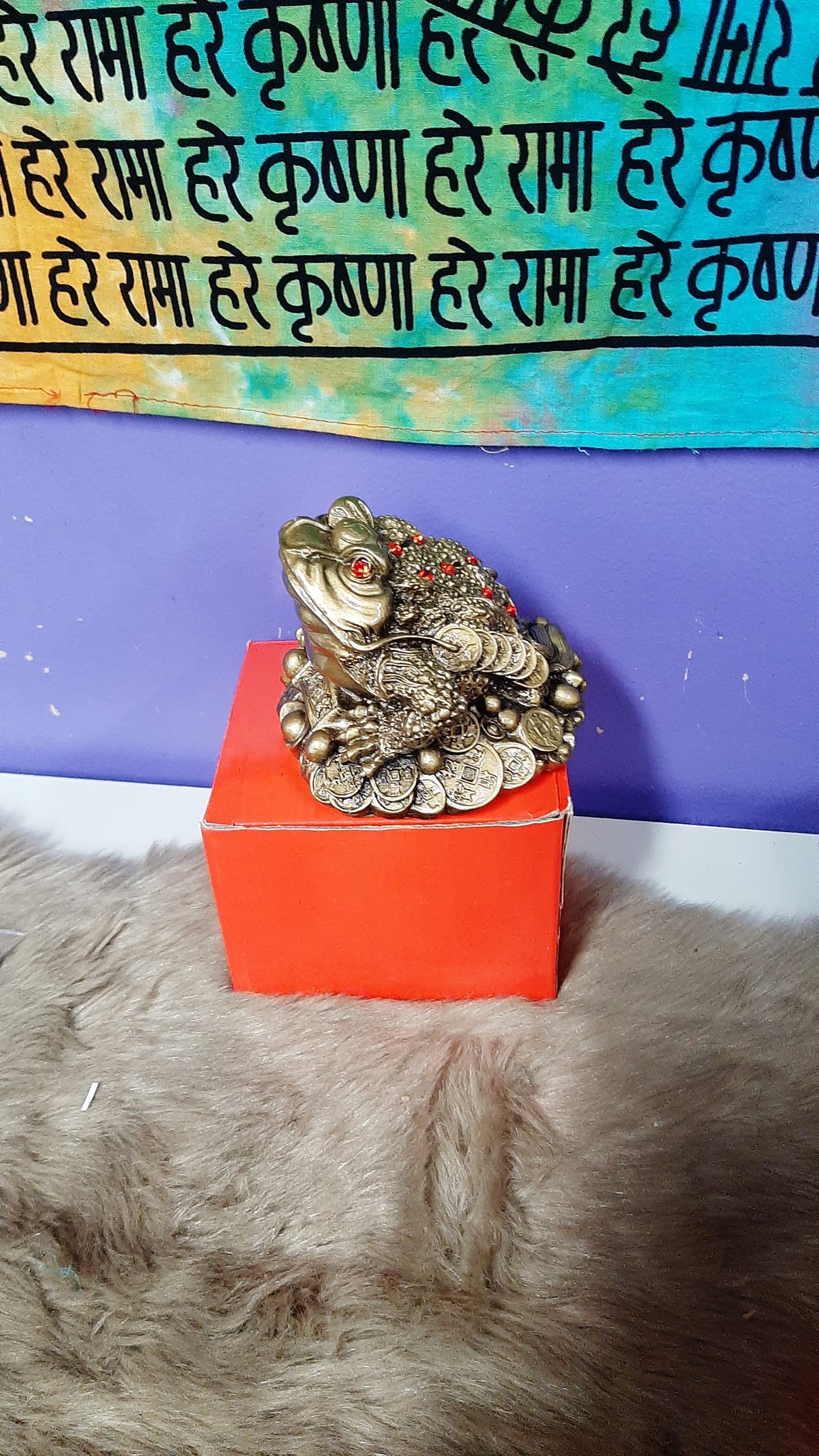 Money Frog Large