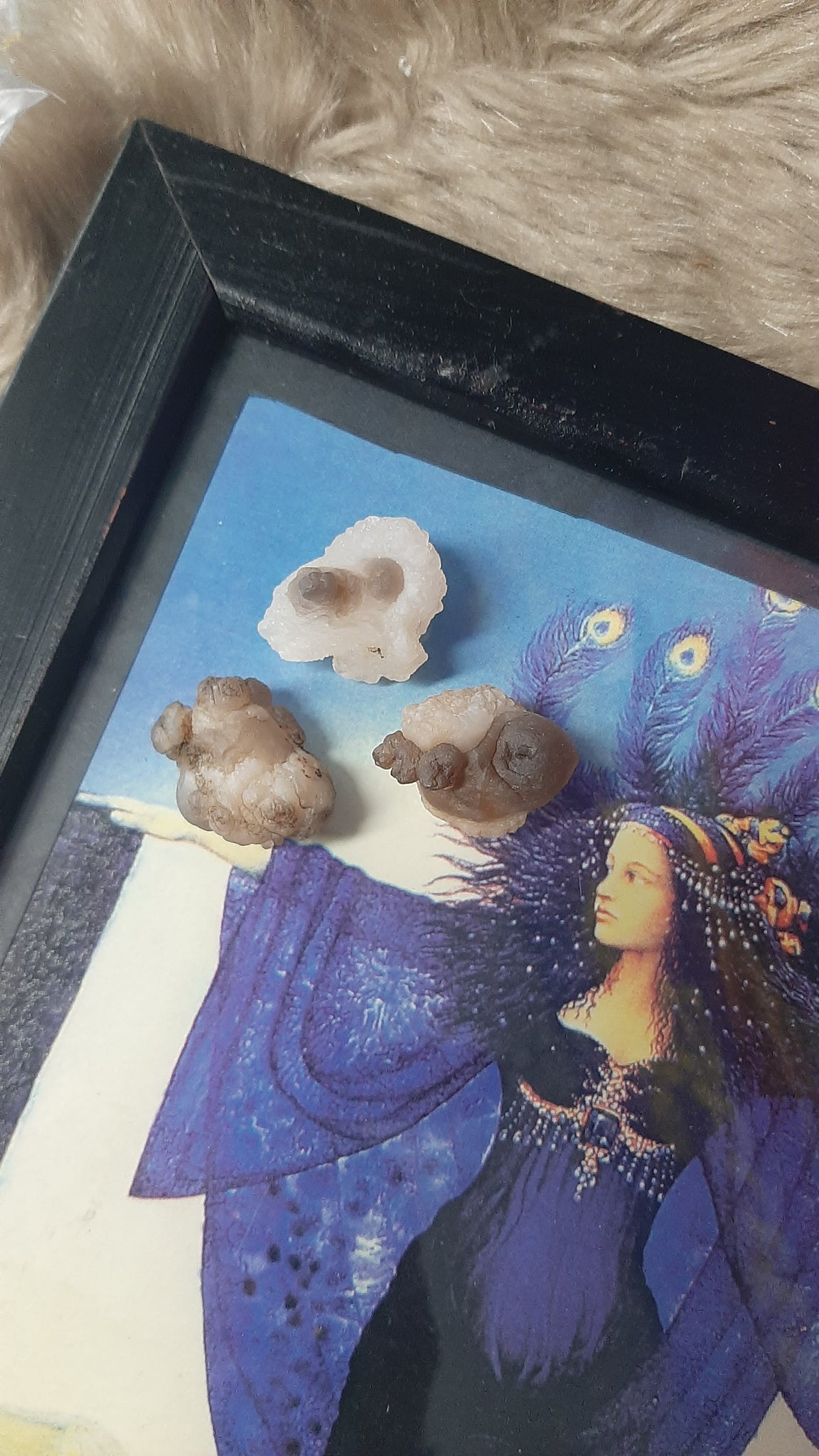 Panda Agate