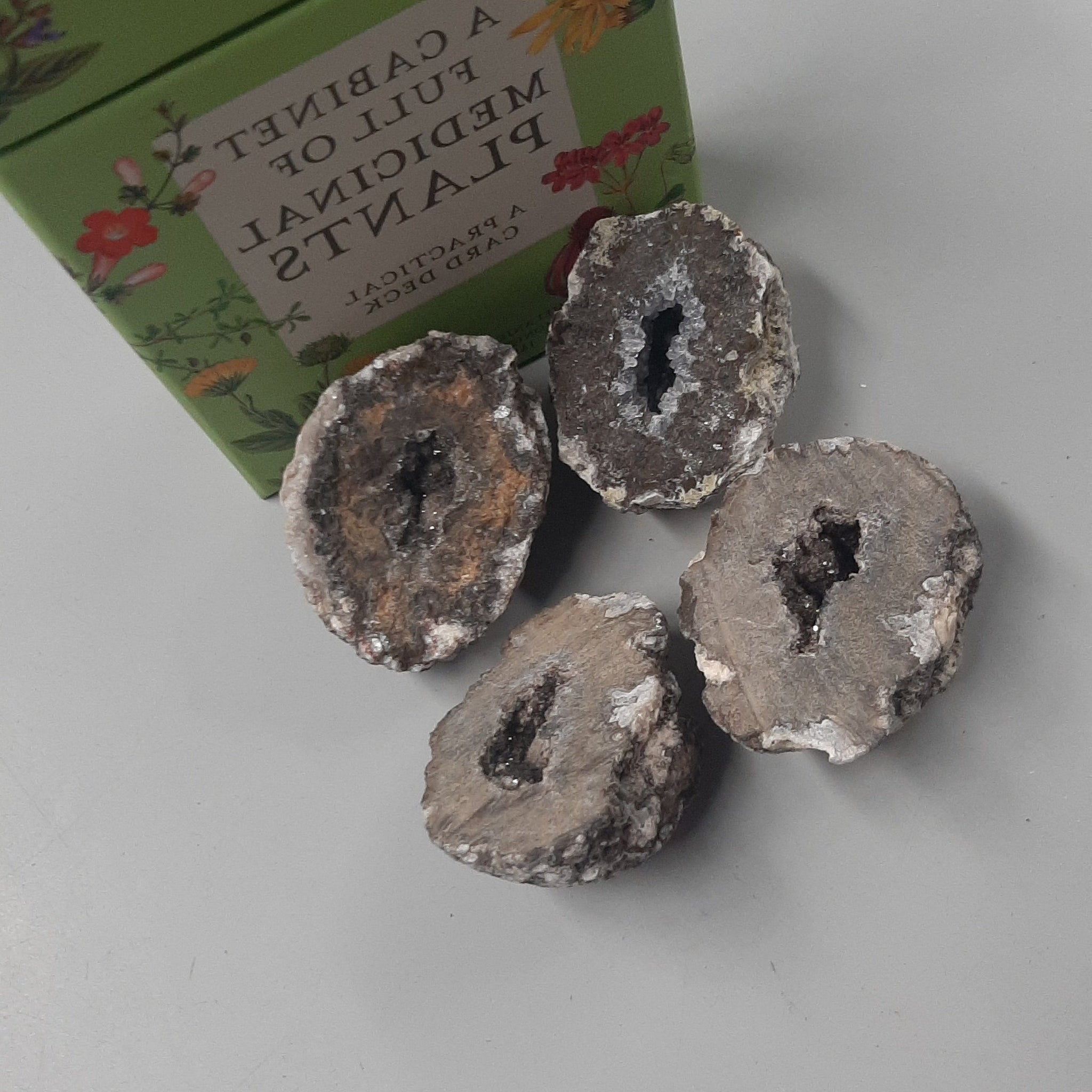 Coconut Geode