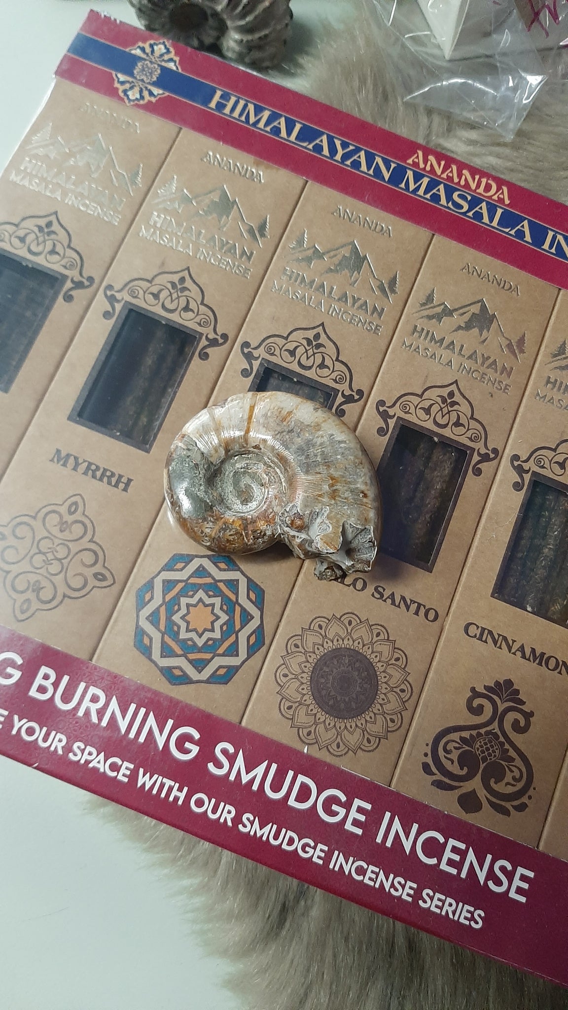 Ammonite