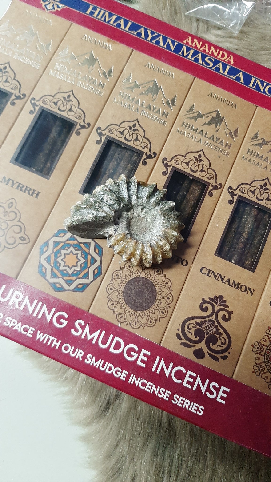 Ammonite