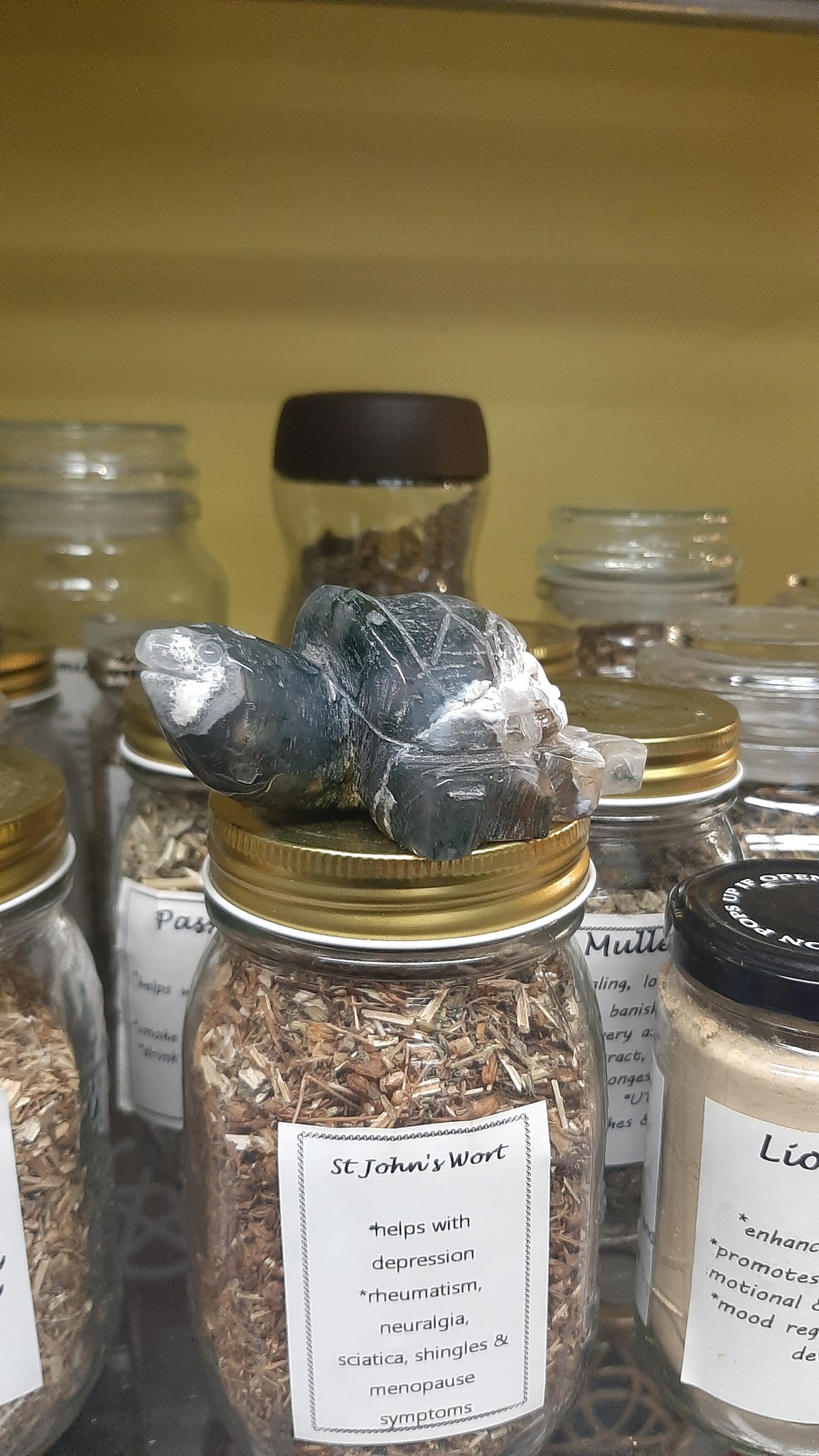 Moss Agate Turtle