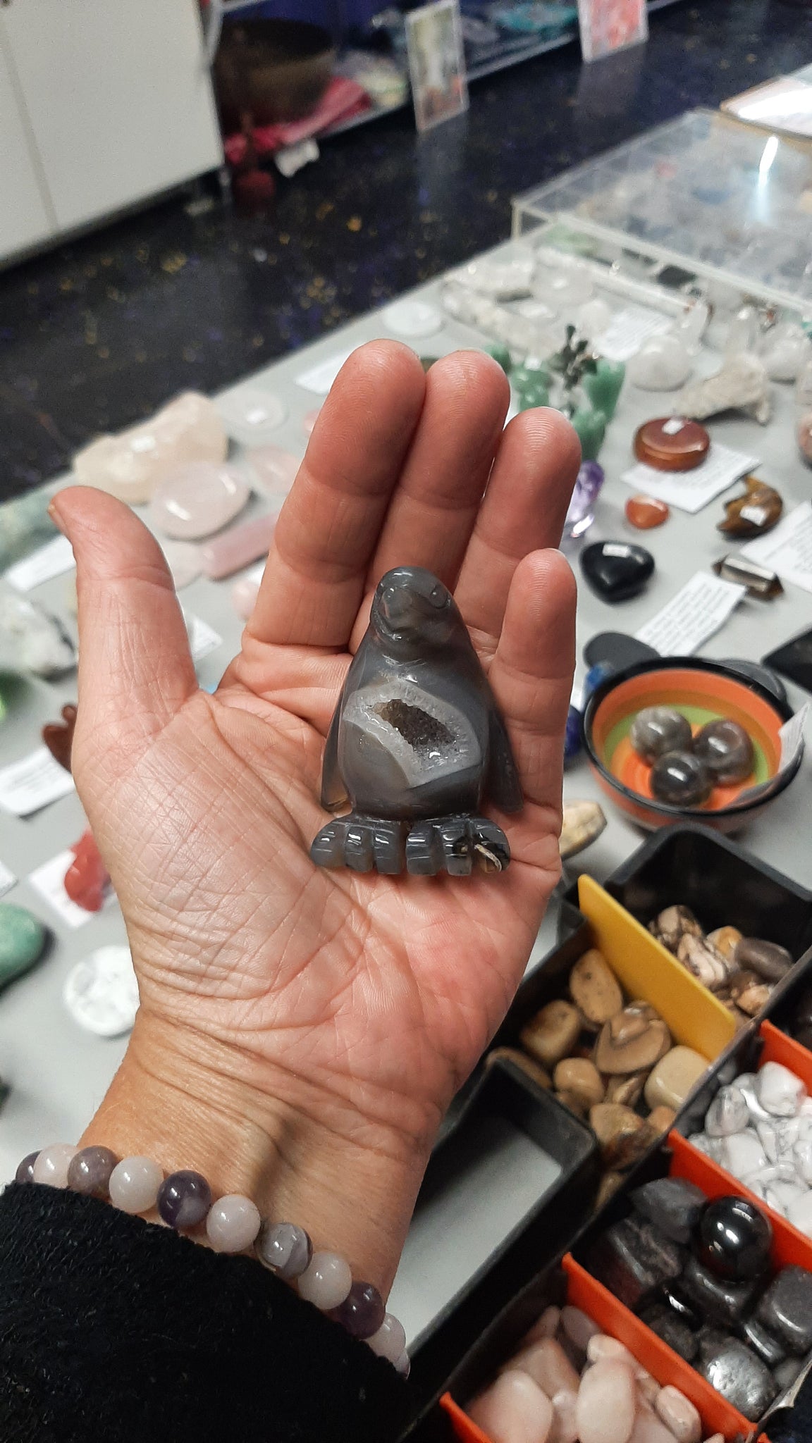 Penguin