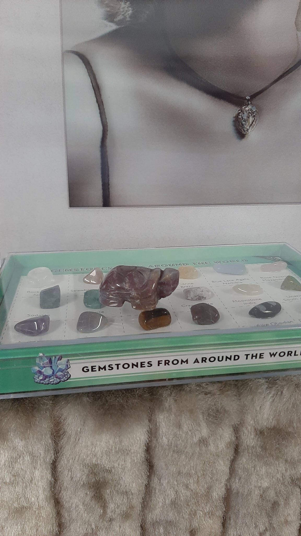 Crystal Turtles Small