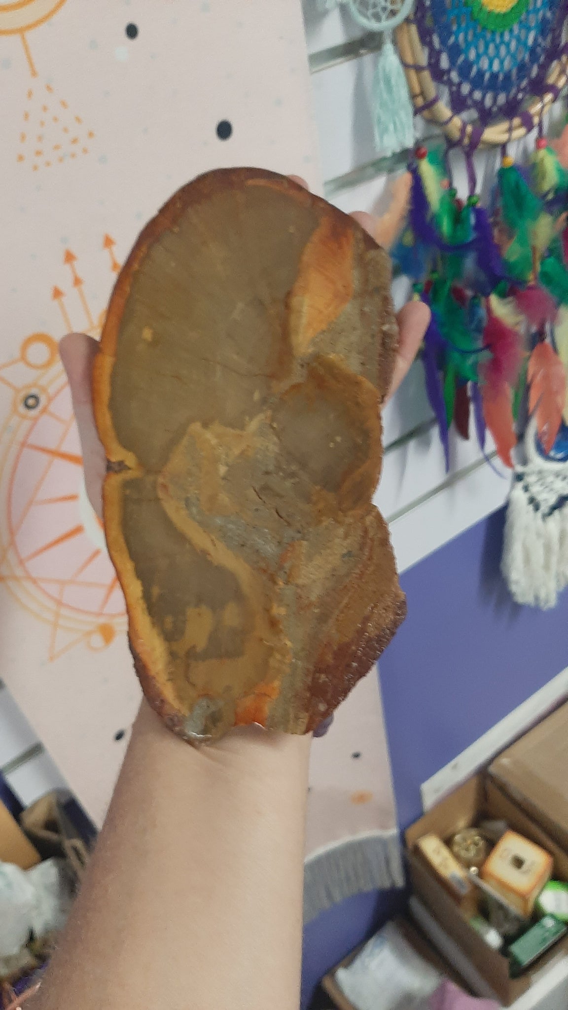 Petrified Wood