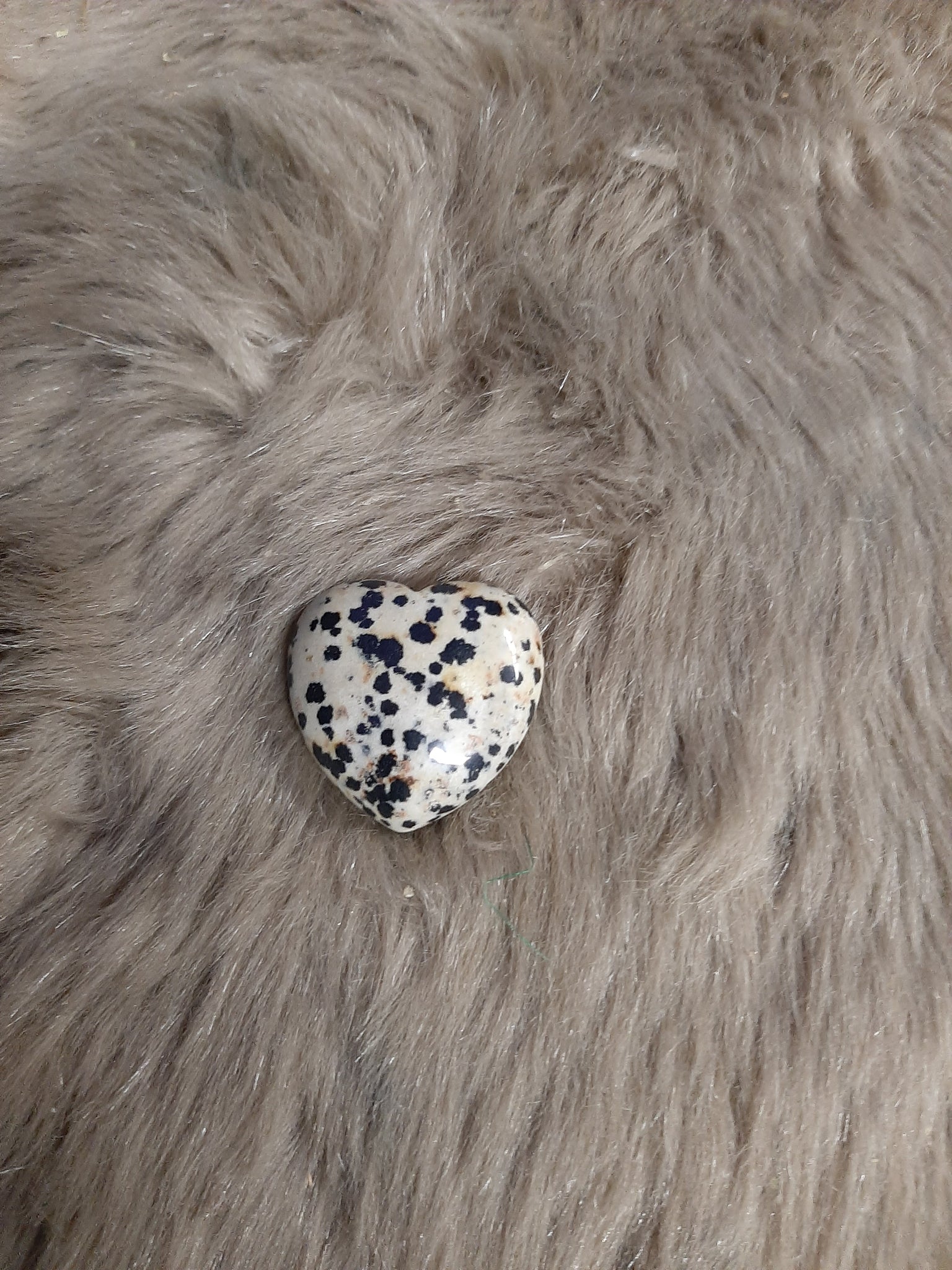 Dalmation Jasper Heart