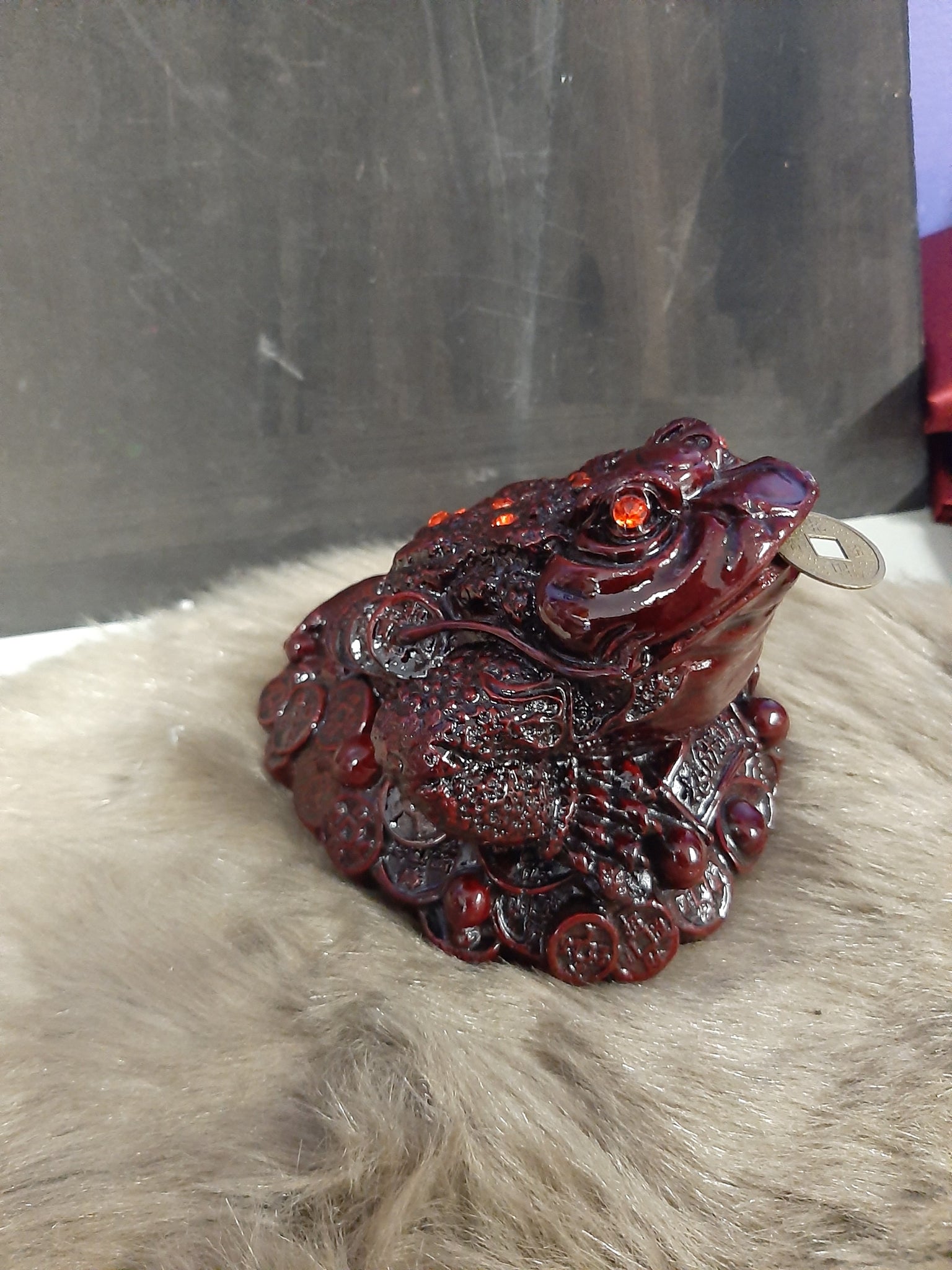 Red Money Frog